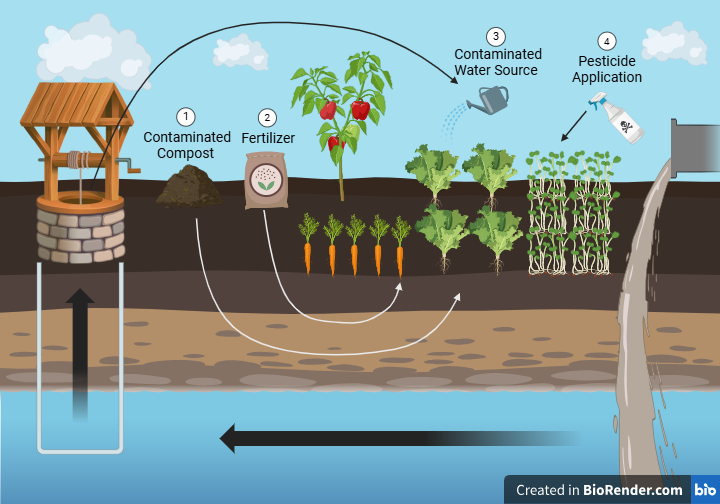 PFAS Contamination In Gardens Figure
